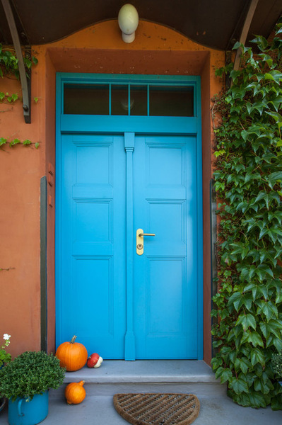 double-wing security doors